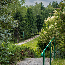 ogród w ośrodku wypoczynkowym Bieszczady